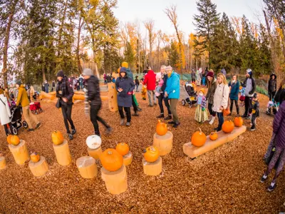 Guests enjoy pumpkin displays and activities at the annual Spooktacular public walk.