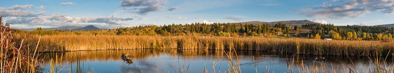 Environmental Planning