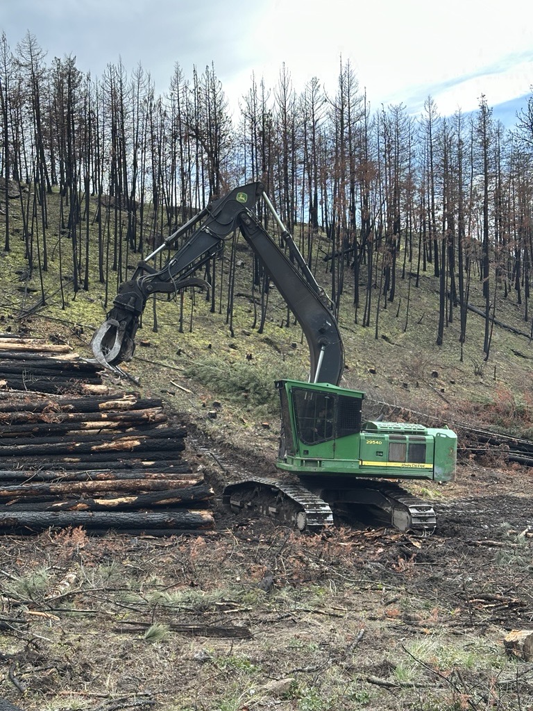 Equipment for salvage logging and logs in Rose Valley Regional Park.