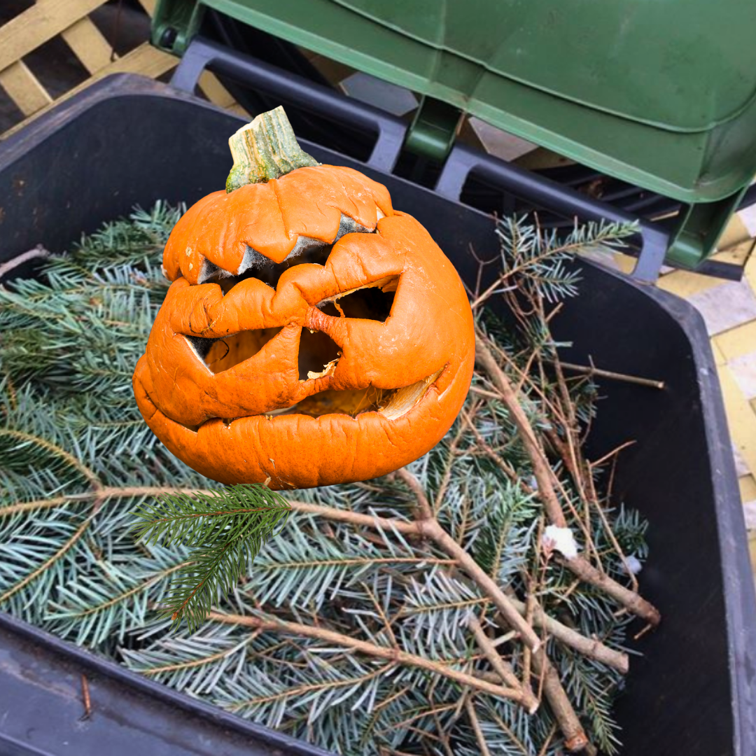 Carved pumpkin placed in a curbside yard waste cart filled with branches and greenery