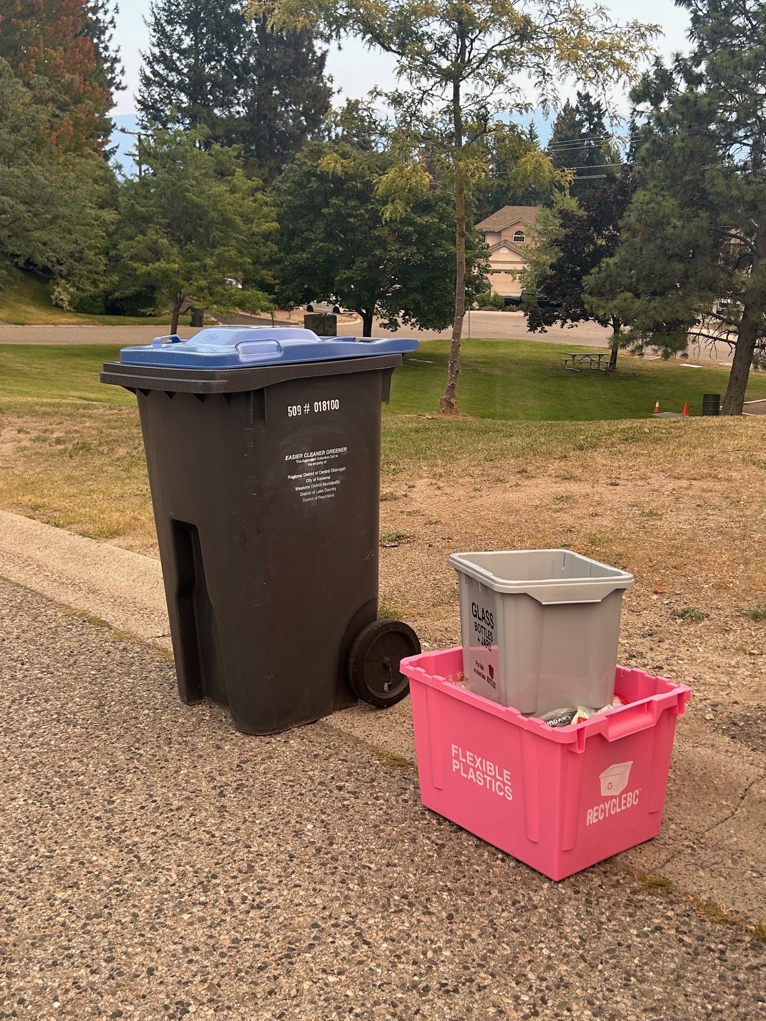 Blue cart and pink and grey recycling bins placed at the curbside.