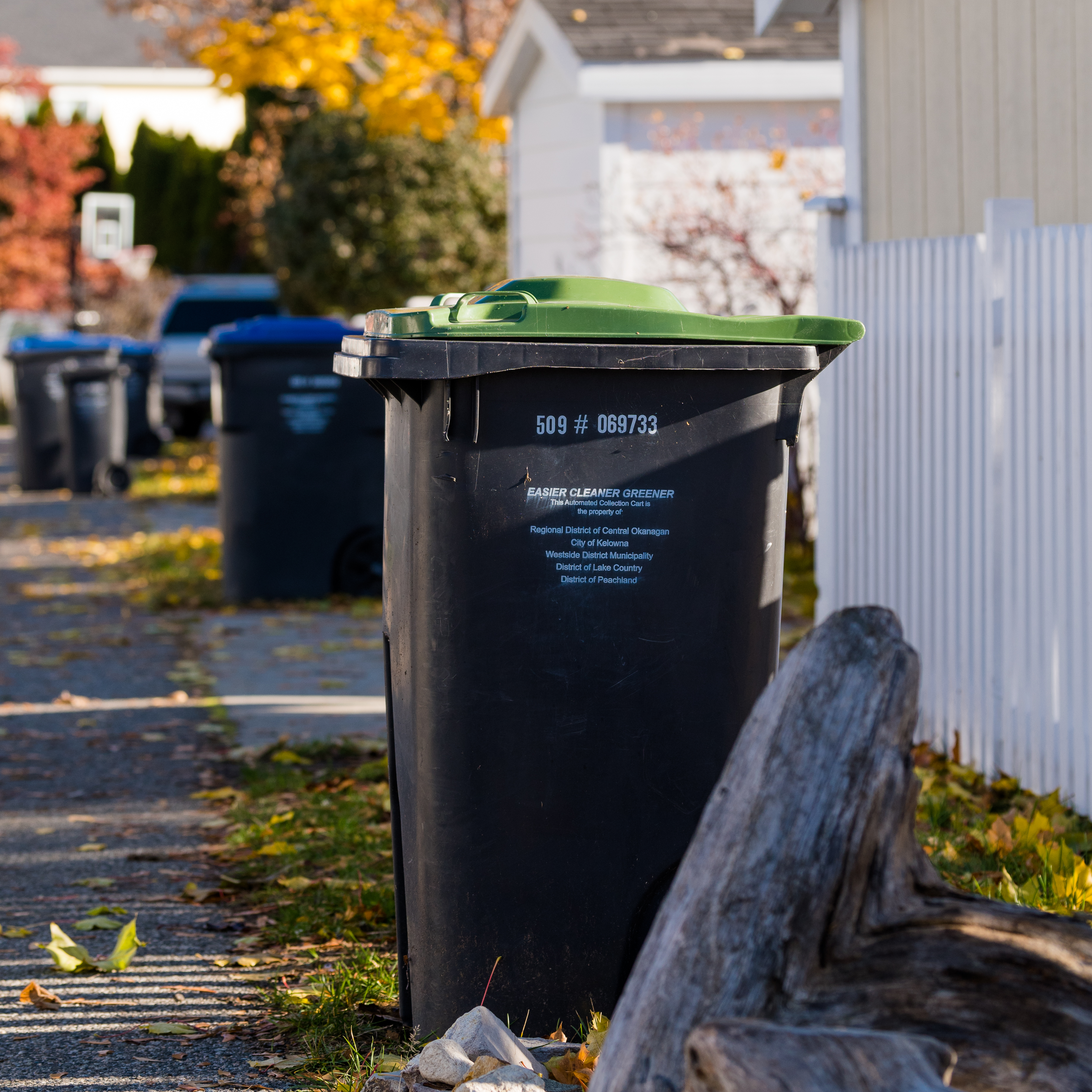 Yard waste curbside collection cart.