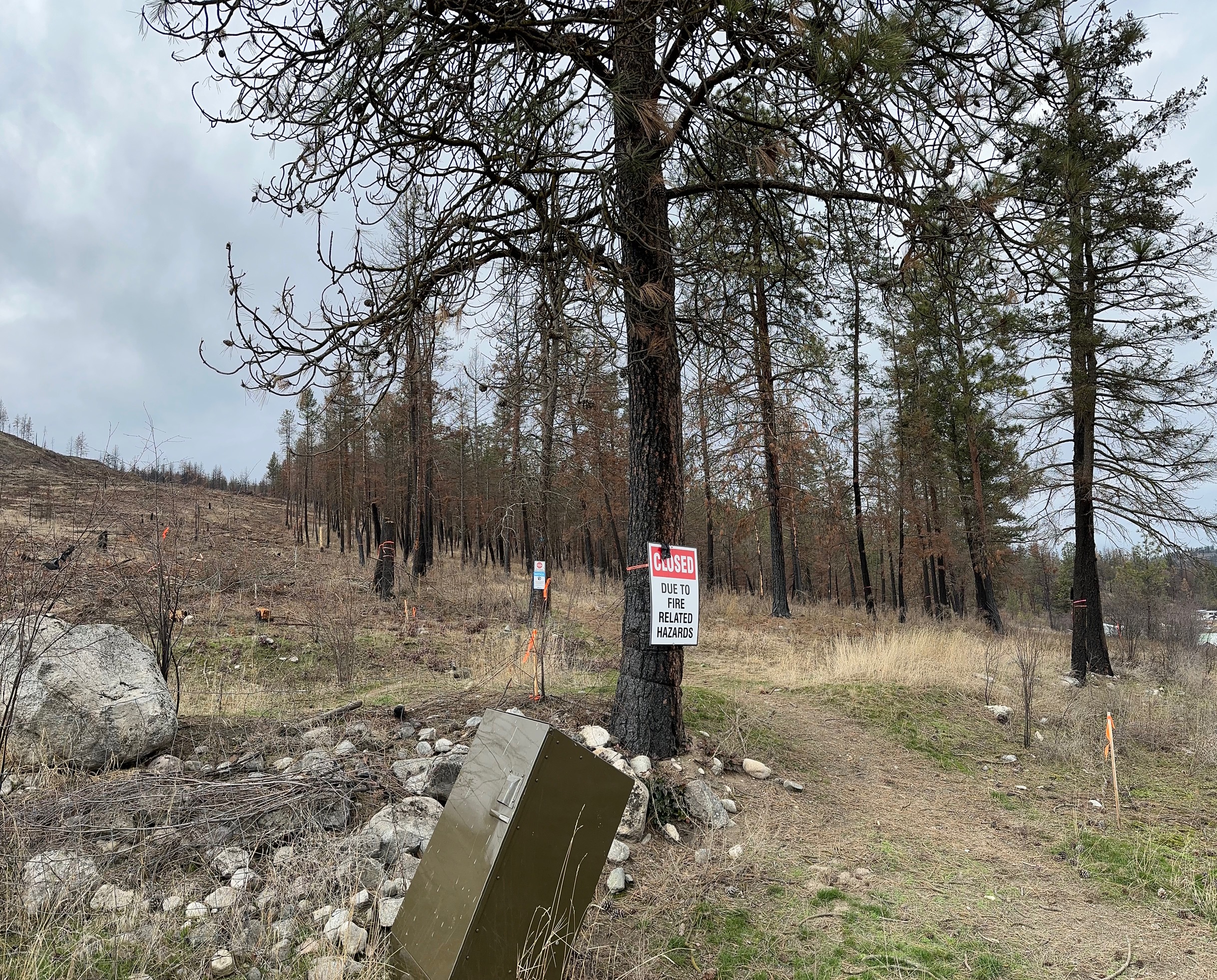 Burnt trees and a sign on a tree stating "Closed due to fire damage related hazards" in Stephens Coyote Ridge Regional Park.