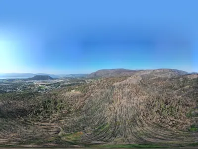 View of damage in Rose Valley Regional Park from the 2023 McDougall Creek wildfire.