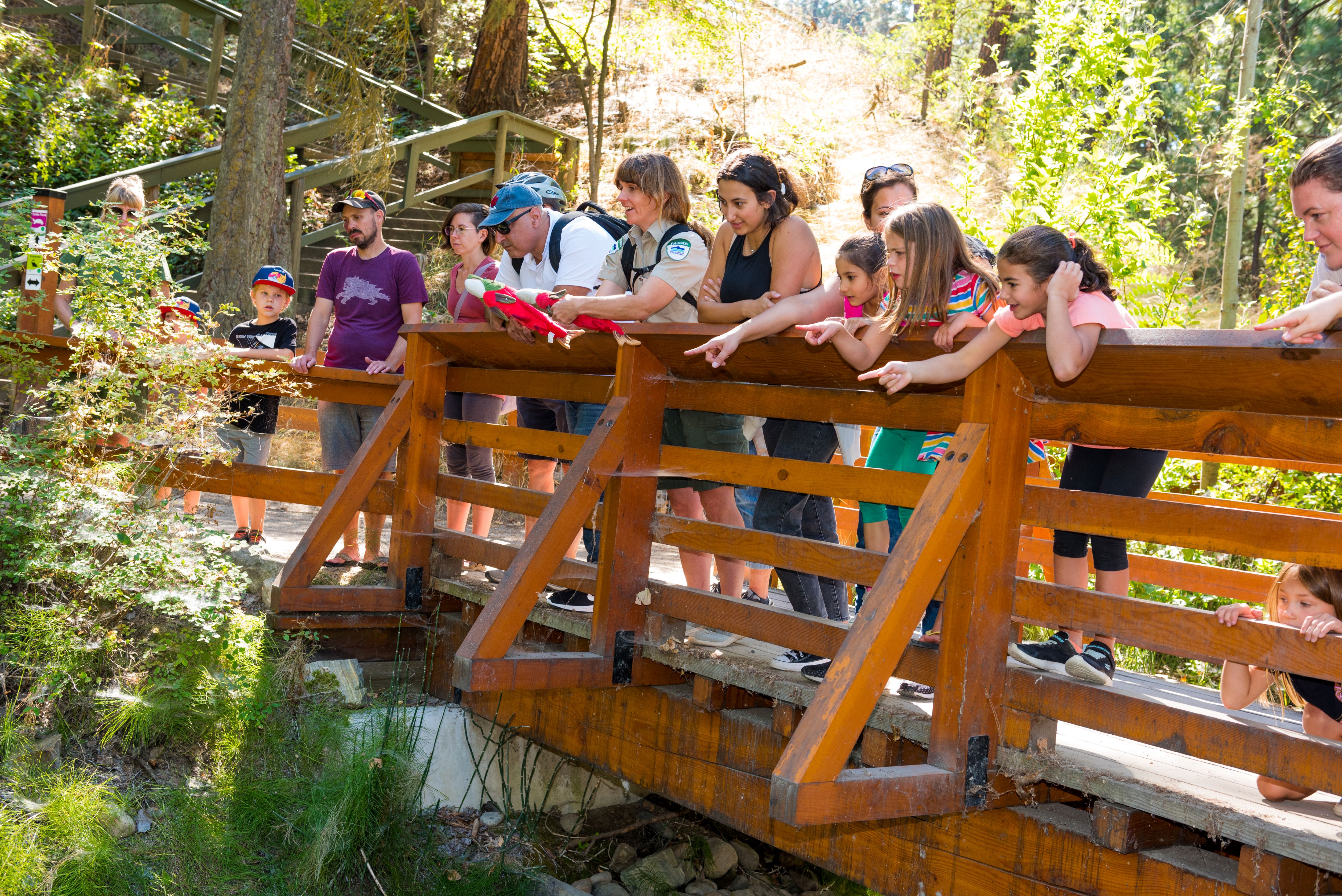 A group standing on the bridge in Mission Creek Regional Park looks out at salmon in the creek.