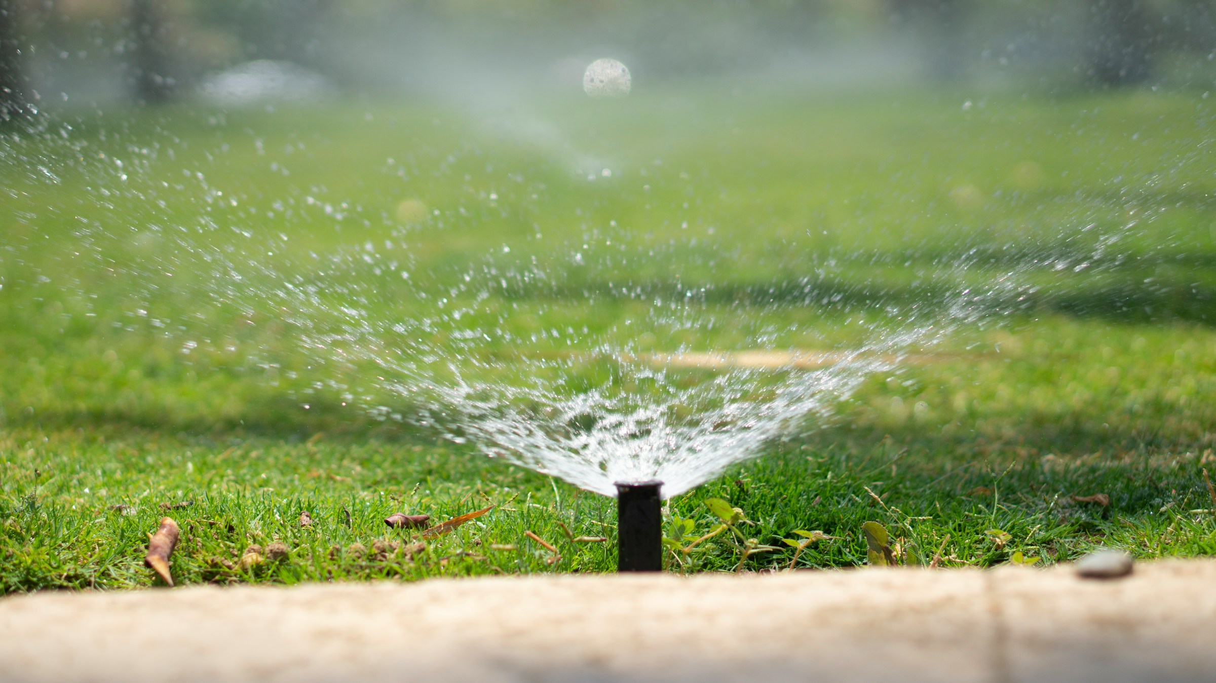 A sprinkler in the grass.