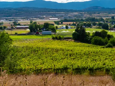 Agricultural land in Electoral Area East. 