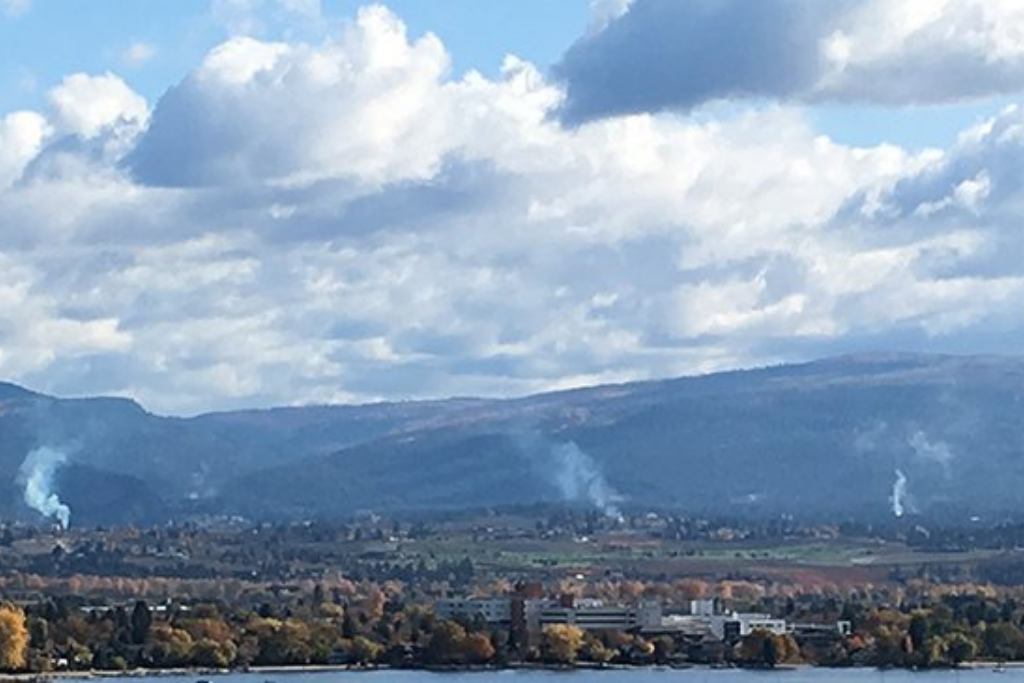 Smoke from open burning piles. 